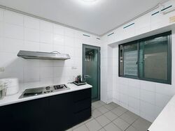 Blk 1E The Pinnacle@Duxton (Bukit Merah), HDB 4 Rooms #583990741